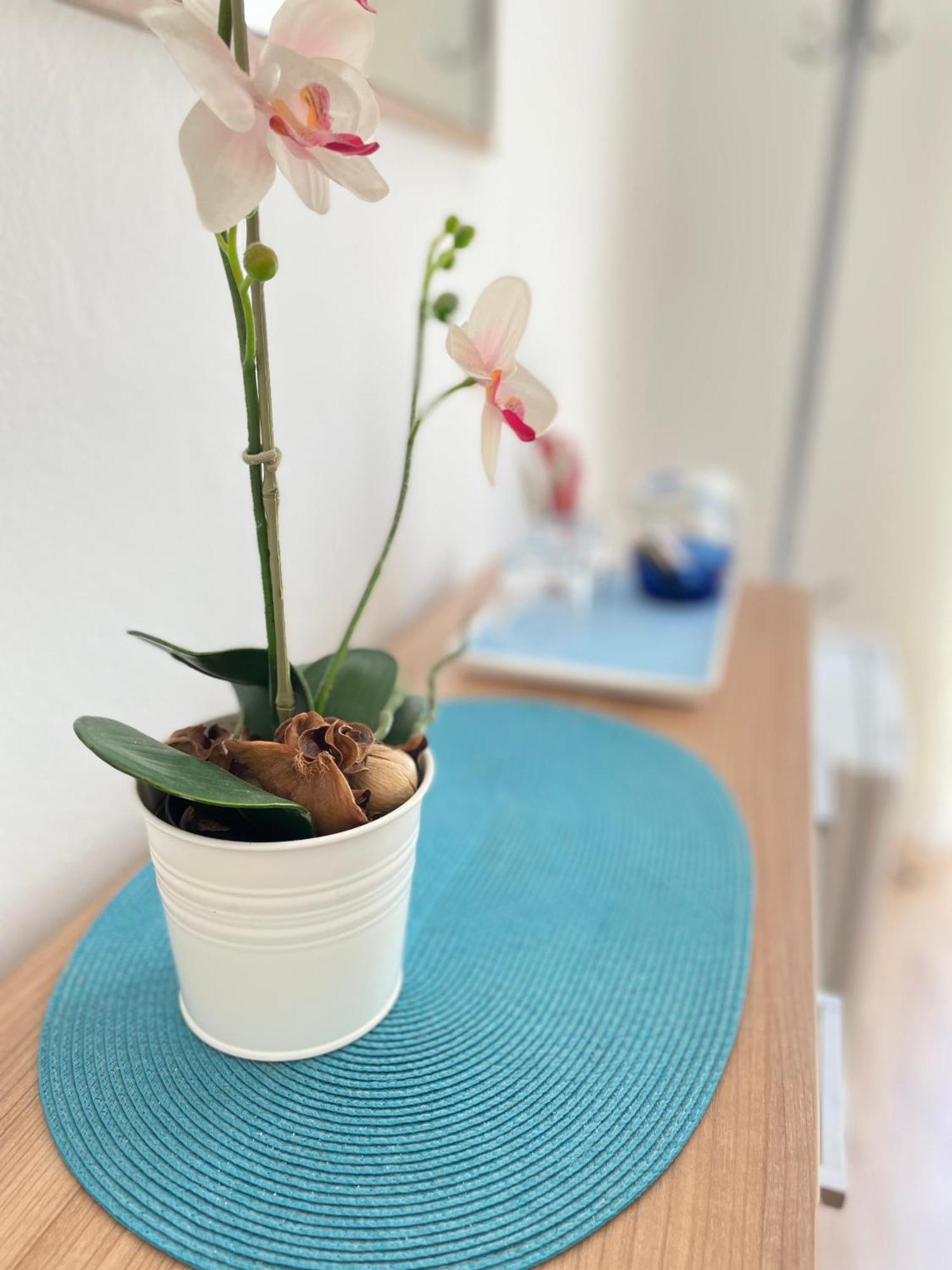 Guesthouse Mm Dubrovnik Ngoại thất bức ảnh